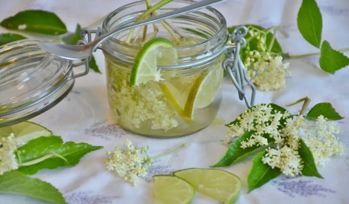 Jak zrobić herbatę z owoców czarnego bzu i cieszyć się jej zdrowiem